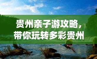 客户案例 第9页