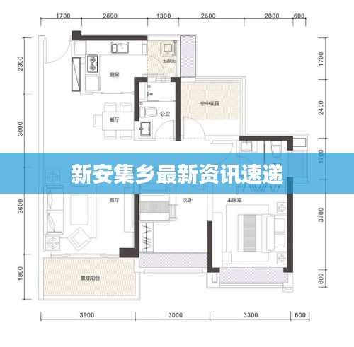 新安集乡最新资讯速递