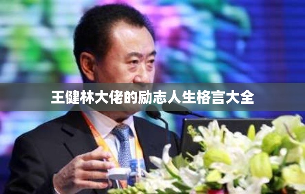 公司动态 第8页
