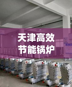 天津高效节能锅炉，引领绿色能源革新之路