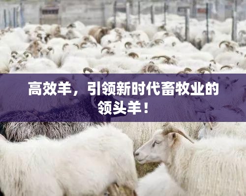 在线留言 第9页