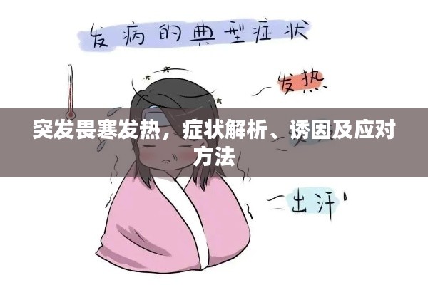 突发畏寒发热，症状解析、诱因及应对方法