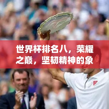 世界杯排名八，荣耀之巅，坚韧精神的象征