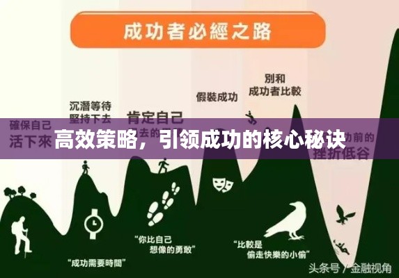 高效策略，引领成功的核心秘诀