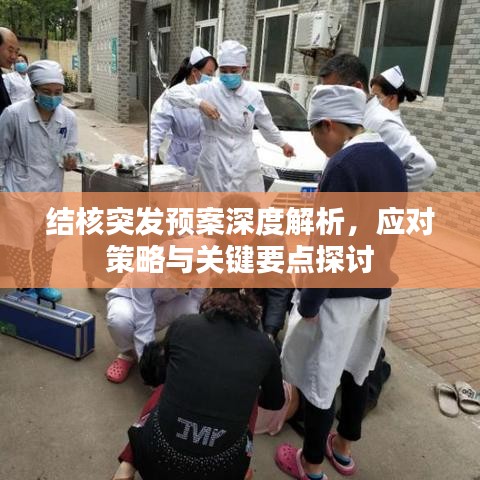 结核突发预案深度解析，应对策略与关键要点探讨