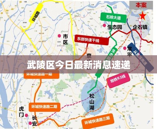武陵区今日最新消息速递