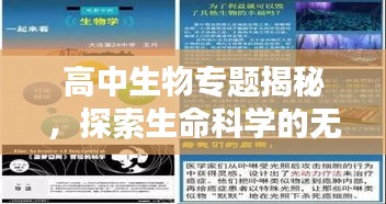 高中生物专题揭秘，探索生命科学的无尽奥秘