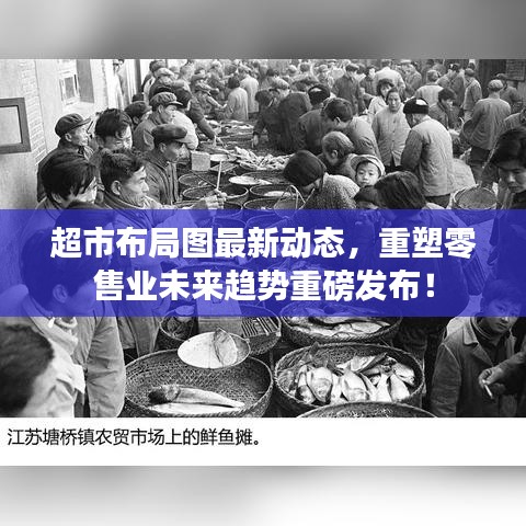 超市布局图最新动态，重塑零售业未来趋势重磅发布！
