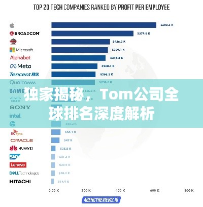 独家揭秘，Tom公司全球排名深度解析