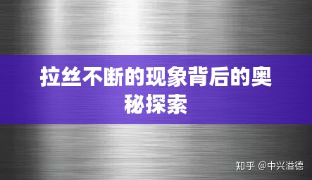 2025年6月8日