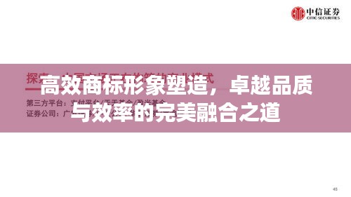 高效商标形象塑造，卓越品质与效率的完美融合之道