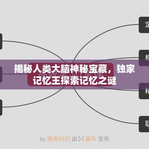 揭秘人类大脑神秘宝藏，独家记忆王探索记忆之谜