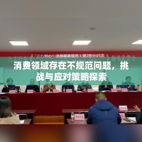 消费领域存在不规范问题，挑战与应对策略探索