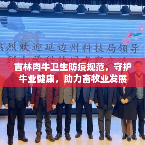 吉林肉牛卫生防疫规范，守护牛业健康，助力畜牧业发展