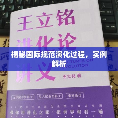 揭秘国际规范演化过程，实例解析