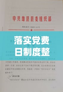 落实党费日制度整改，深化党的组织建设，筑牢基层战斗堡垒