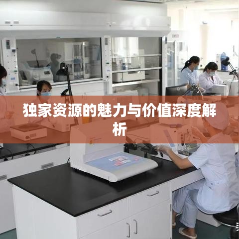 独家资源的魅力与价值深度解析